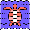 tortuga icon