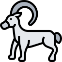 ram icon