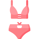 bikini icon