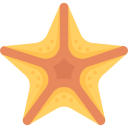 estrella de mar icon