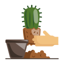 cactus icon