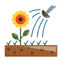 girasol icon