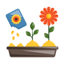 girasol icon