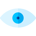 ojo icon