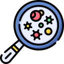 Search 