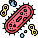bactérias 