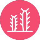 cactus icon