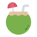 bebida de coco icon