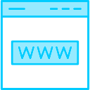 Website 