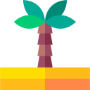 palmera icon