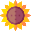 girasol icon