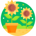 girasol icon