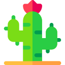 cactus icon