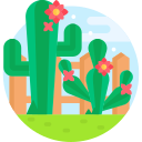 cactus icon