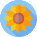 girasol icon