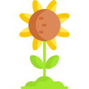 girasol icon