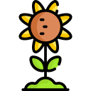 girasol icon