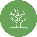 Árbol icon