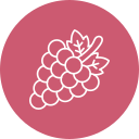 uvas icon