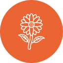 girasol icon