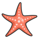 estrella de mar