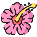 hibisco icon