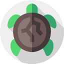 tortuga icon