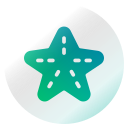 estrella de mar icon