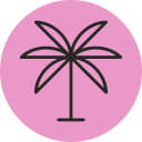 palmera icon