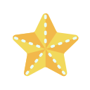 estrella de mar 