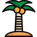 palmera