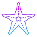 estrella de mar icon