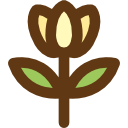 tulipán icon