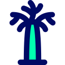 palmera icon