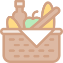 picnic icon