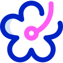 hibisco icon