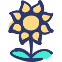 해바라기 icon