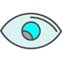 ojo icon