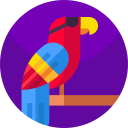 pájaro icon