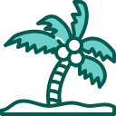 palmera icon