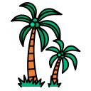 palmera