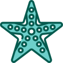 estrella de mar icon