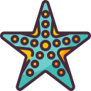 estrella de mar icon