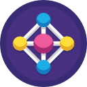 Network 