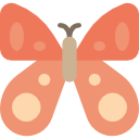 mariposa