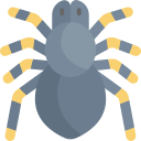 tarántula 