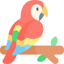 guacamayo 