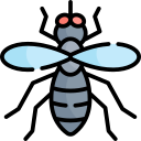 mosquito icon