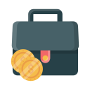 bolsa icon