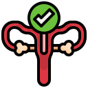 cáncer de cuello uterino icon